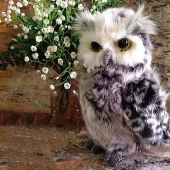 NEW Boneka Burung Hantu Buffy Fish Owl BERKUALITAS