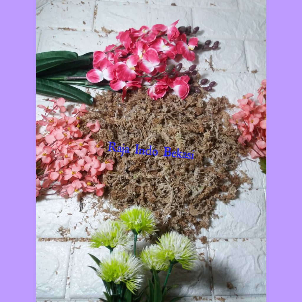 SPHAGNUM MOSS 100 GRAM Media Tanam Anggrek Serbuk berwarna coklat