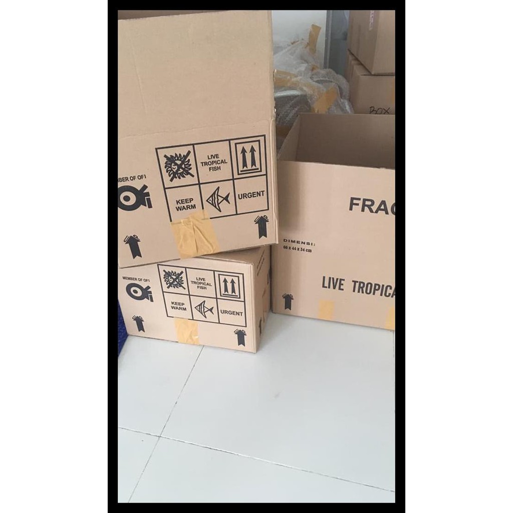 

Kardus Buat Packing Berkualitas