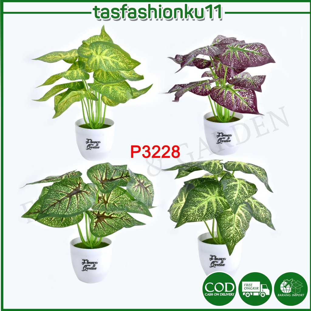 COD/TF11 TANAMAN HIAS TANAMAN DAUN PLASTIK TANAMAN HIAS RUMAH BUNGA HIAS BUNGA PLASTIK BUNGA P3228
