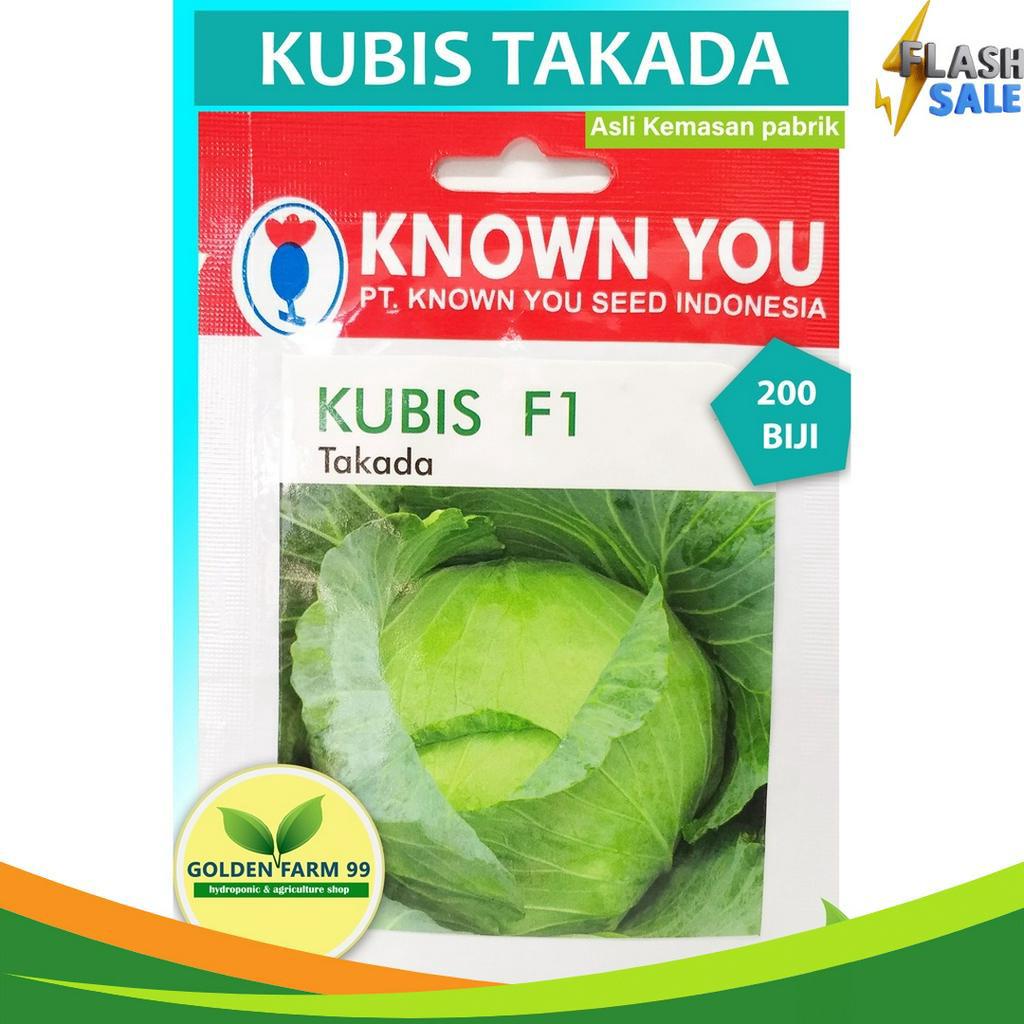 NEWPRODUCT Benih  bibit kubis hibrida  Takada  KNY  4