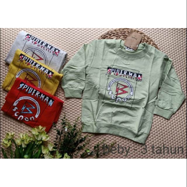 Sweater Import Anak Laki-laki