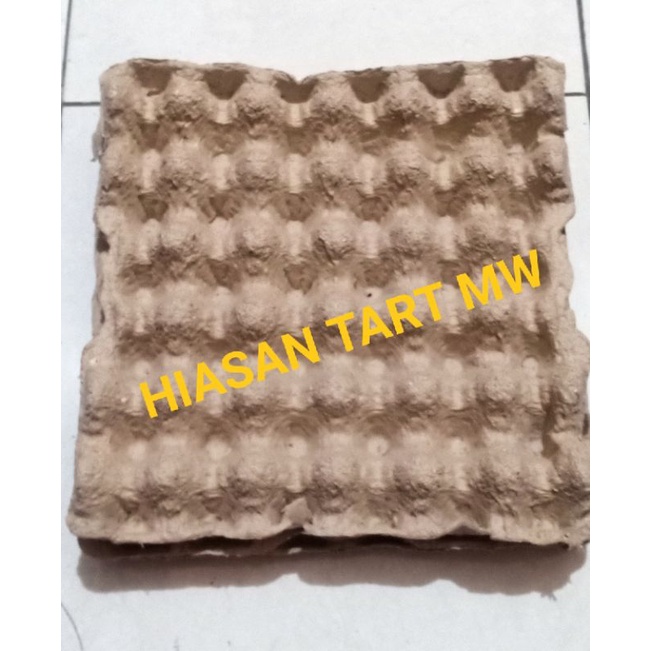 Tray Telur Karton Bekas / Egg Tray / Tempat Telur