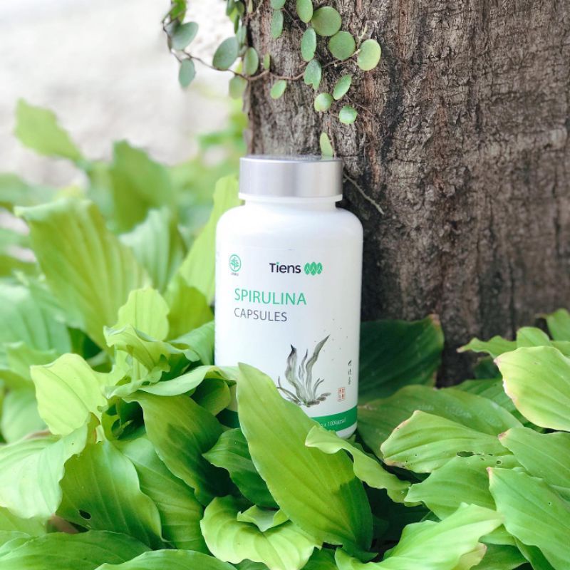 masker spirulina asli