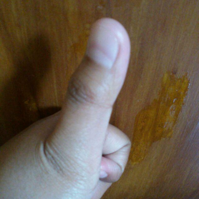 New! Original Product By Paku Payung Club (ppc) | November 2020