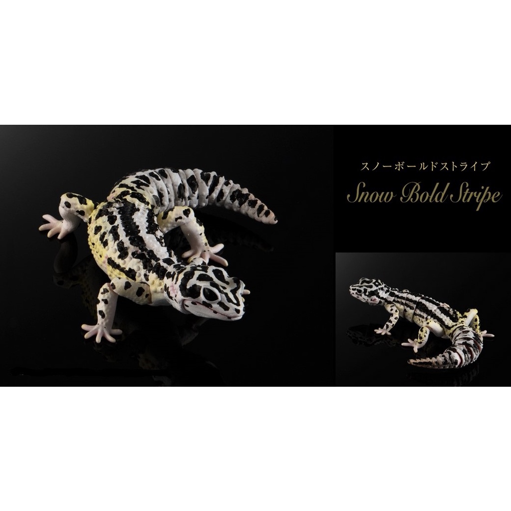 [Bandai] Gashapon Premium Advance Leopard Gecko - Snow Bold Stripe
