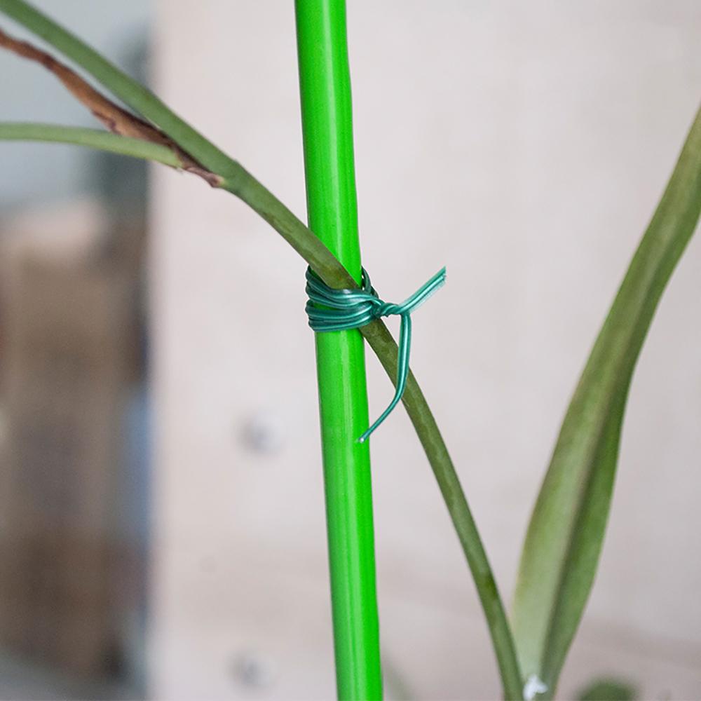 Nickolas1 Twist Tie Green Untuk Pertumbuhan Tanaman Benang Dengan Cutter Plant Wire