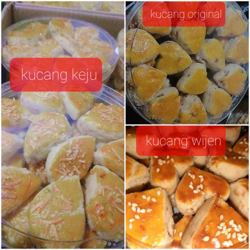 

Kucang/kue kacang,, kacang melimpah,mantul