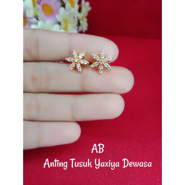 Anting Tusuk/Patem