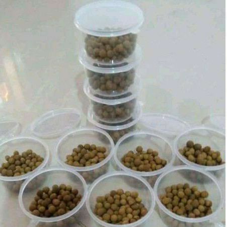 pil payudara ratu entok original