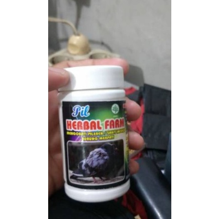 jamu herbal merpati