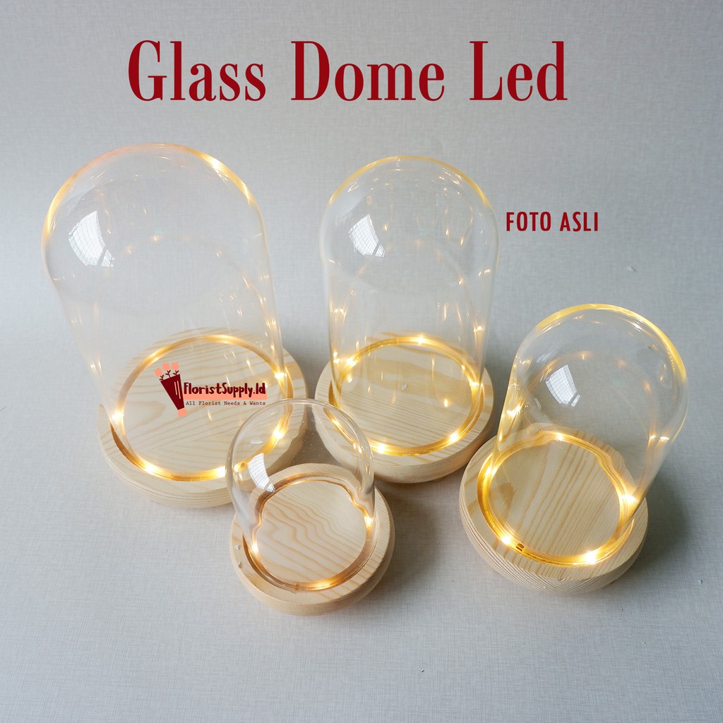 FLOPY [Termasuk Lampu] Glass Dome Led / Flower Dome Light / Lampu Kubah Kaca Import