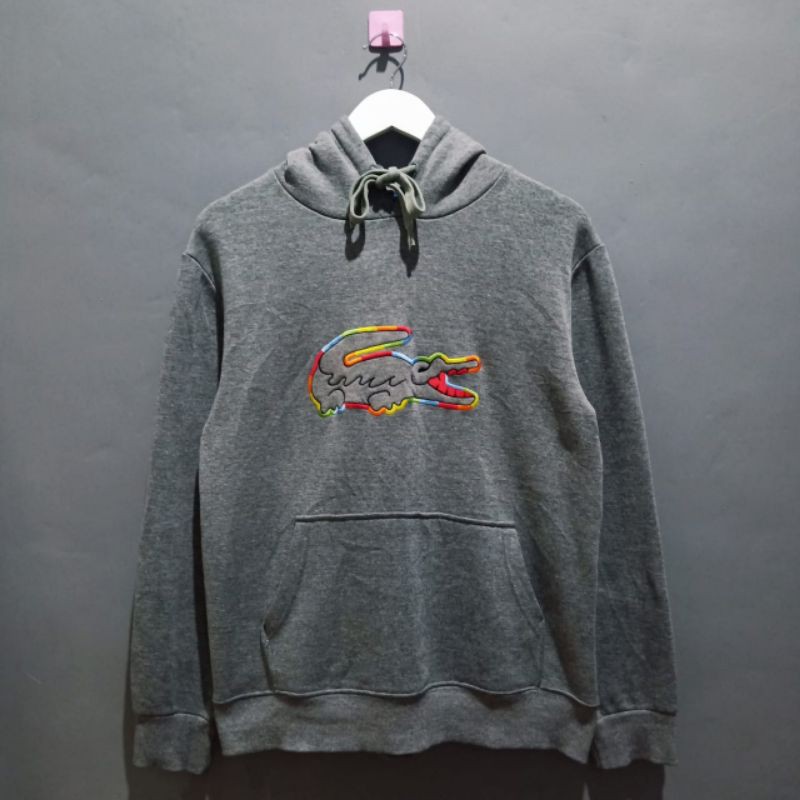 HOODIE LACOSTE BIG LOGO RAINBOW second