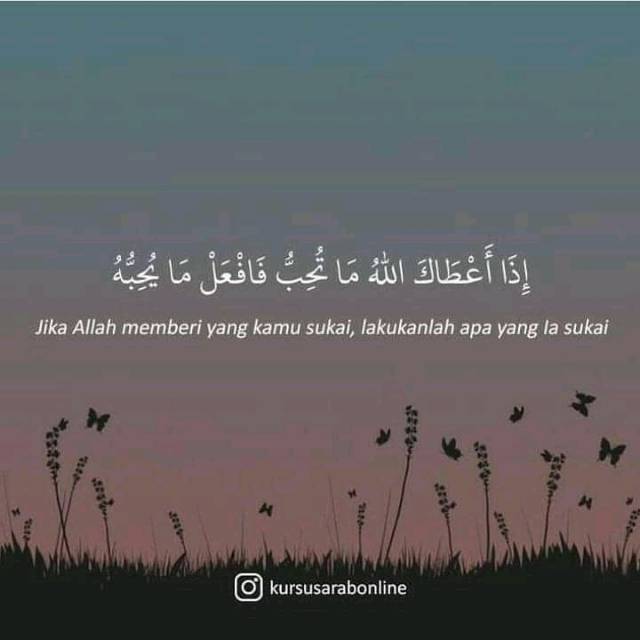 amaliahfitri12