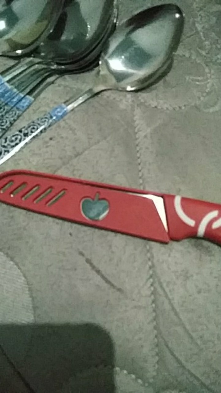 Pisau Buah Sayur Makanan Kitchen Set Stainless Steel Knife Dapur Unik / Pisau Apel