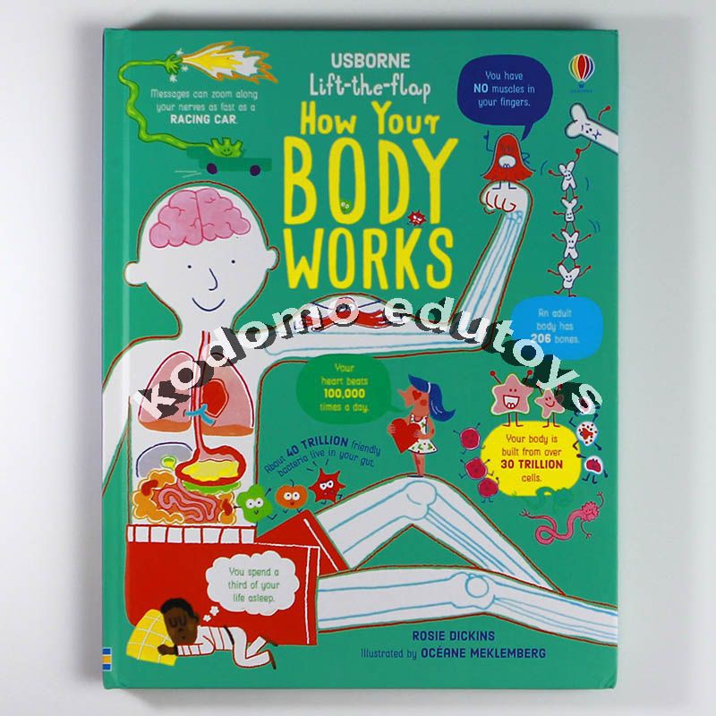 Usborne Lift-the-flap How Your Body Works