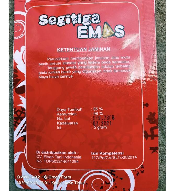 

EWQ-75 Tomat Md 78 Kemasan 5gr Original Pabrik Segitiga Emas Khusus Promo ☃