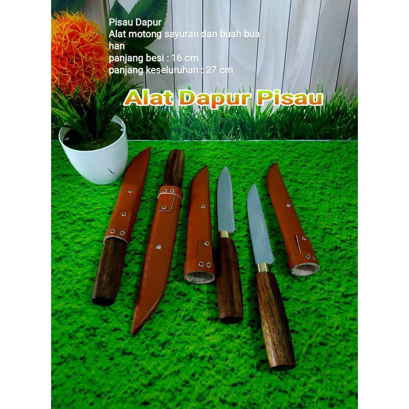 ALAT DAPUR PISAU PEMOTONG SAYURAN