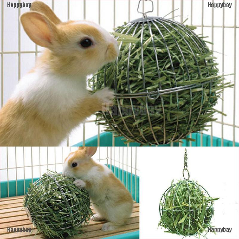 makanan guinea pig