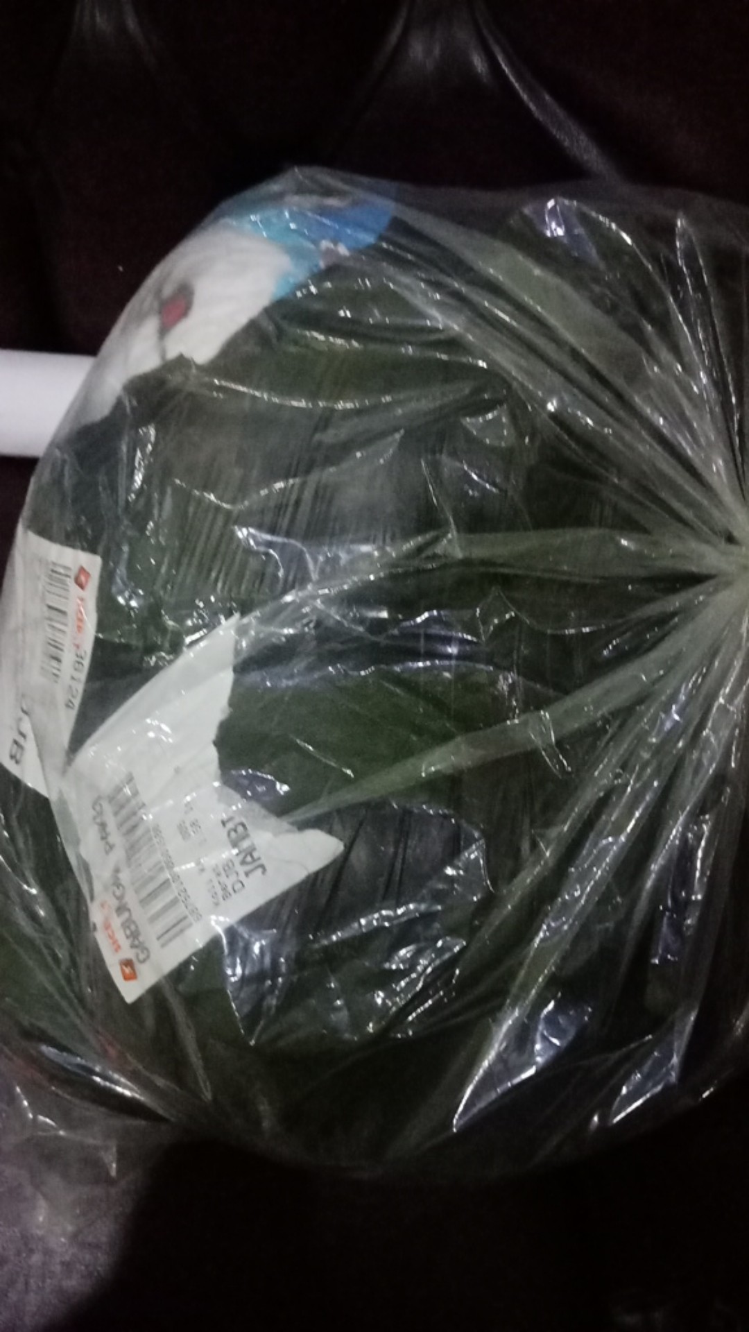 Bantal Cinta Sepasang Karakter Doraemon