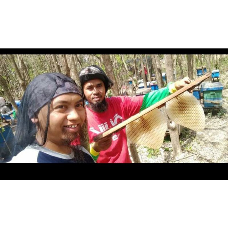 [COD) Madu Murni Asli Madu Nektar Bunga