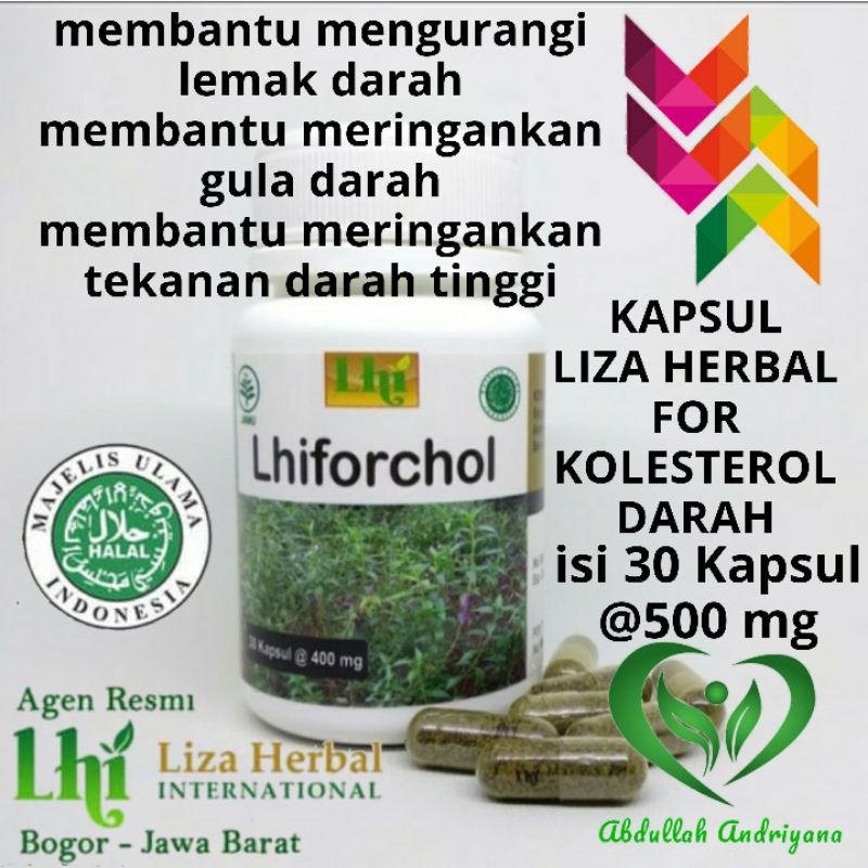 

Kapsul Herbal Untuk Cholesterol Darah LHIFORCHOL isi 30 Kapsul @500 mg