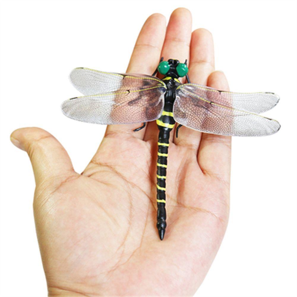 Needway Model Capung Canda Praktis Hadiah Anak Model Hewan Mainan Sains 12cm Dragonfly Action Figure