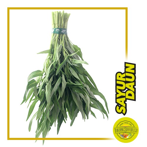

Kangkung / ikat