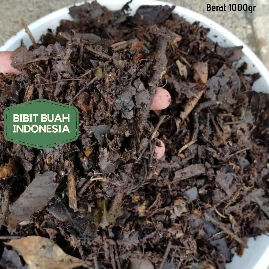 

✔stok yang ada Original Andam Hutan (kemasan 1kg)