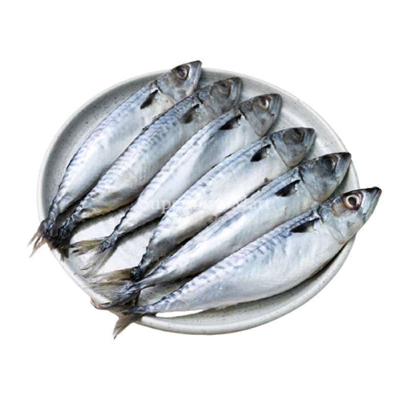 

Ikan Salem / Pack