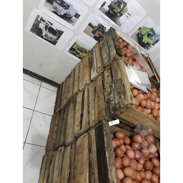 

Telur