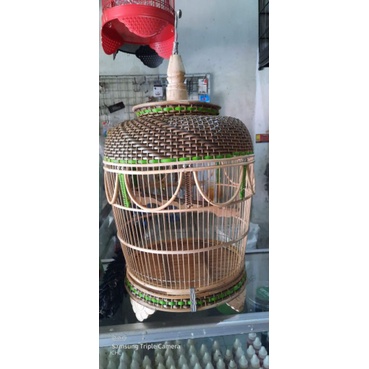 sangkar burung bahan rotan kerajinan tangan Perkutut terkukur puter deruk dll