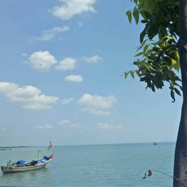 jeng.san