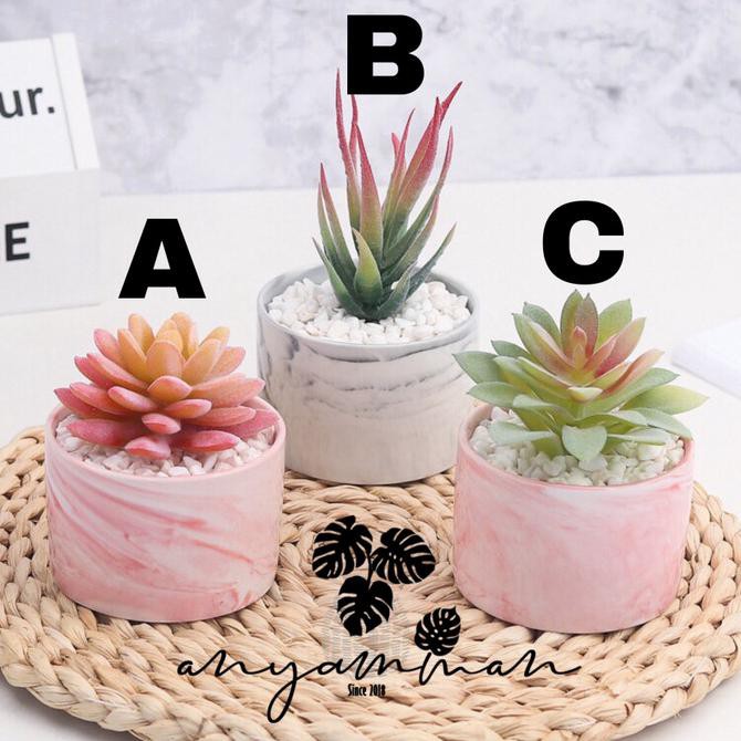 Pot Keramik Marble dan Tanaman Kaktus/Succulent Artificial Type A