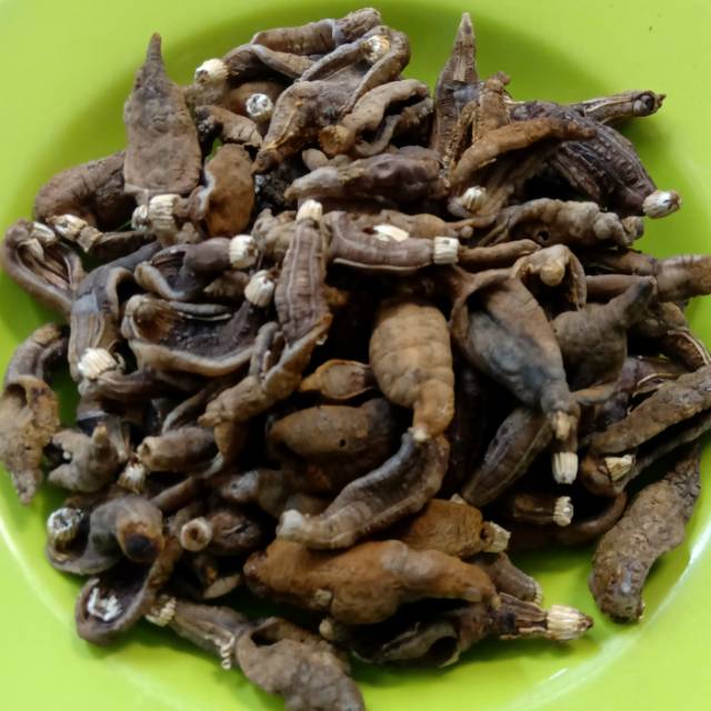 

Krecek Tripang/Blonyo Mentah (500 gram)