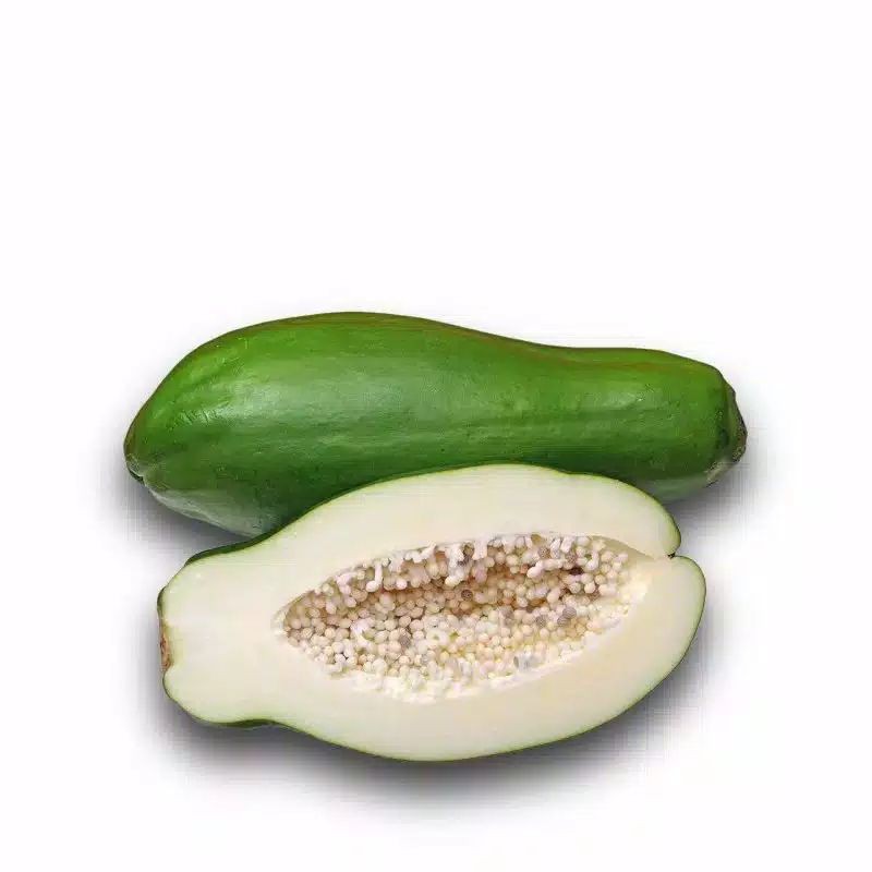 

pepaya sayur