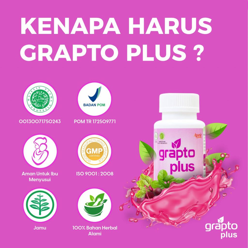 GRAPTO PLUS ORI KAPSUL GRAPTO PLUS GRAPTOPLUS HERBAL OBAT WASIR OBAT AMBEIEN AMBEYEN LANCAR BAB