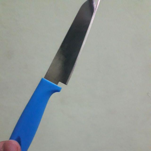 Pisau Dapur Buah