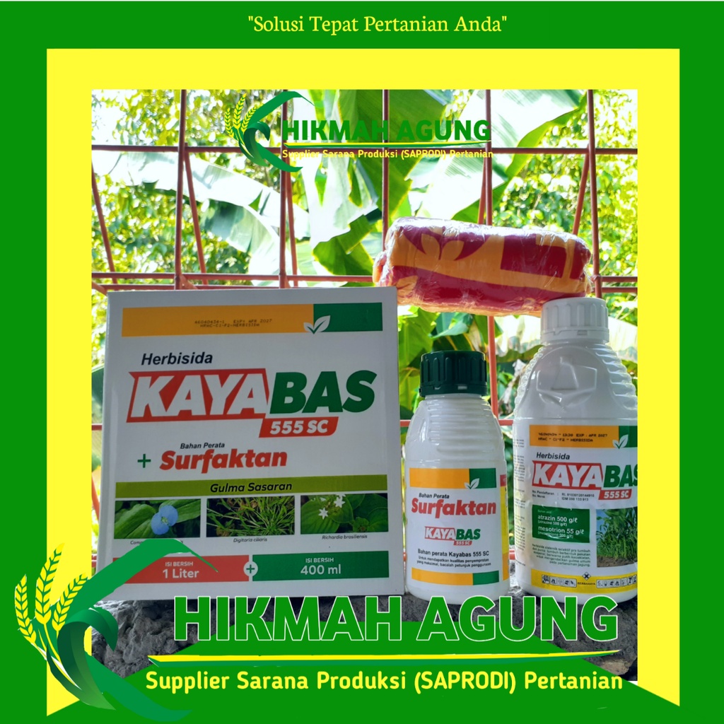 

Kayabas Herbisida selektif Jagung 1 liter Bonus Kaos Cantik