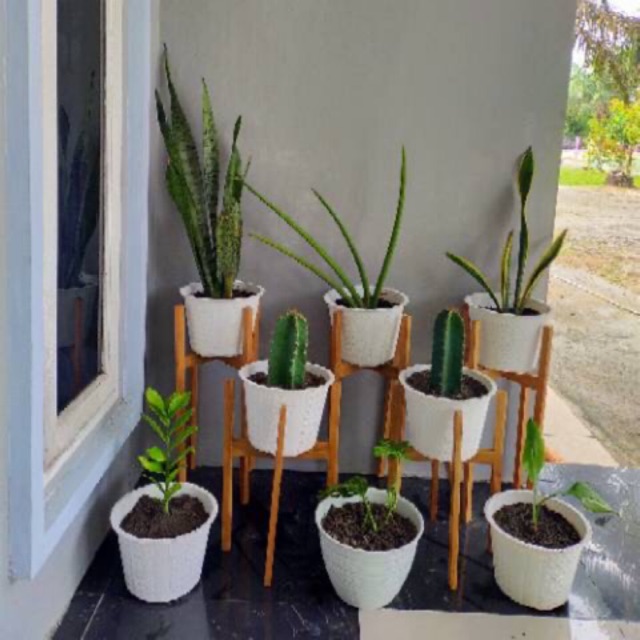 Tempat pot kayu aesthetic bentuk H