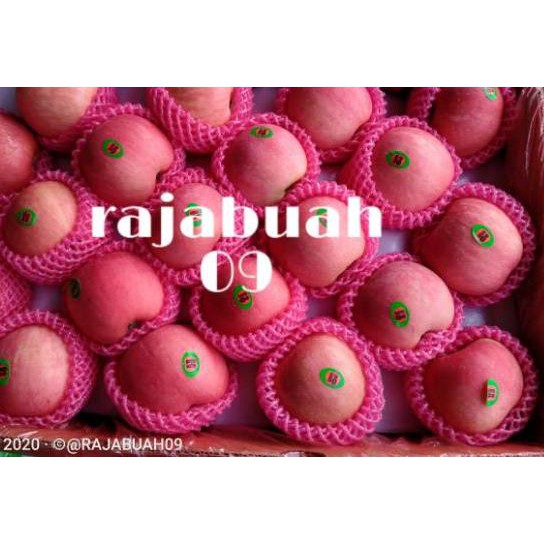 

BIG SALE!! (eut-713) BUAH APEL FUJI 1KG Manis dan Renyah