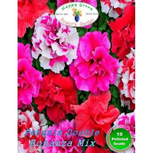 Benih Biji Petunia double Bonanza mix