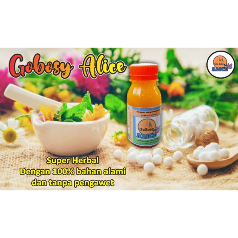 Obat diabetes - Herbal Gobosy Alice 6 botol