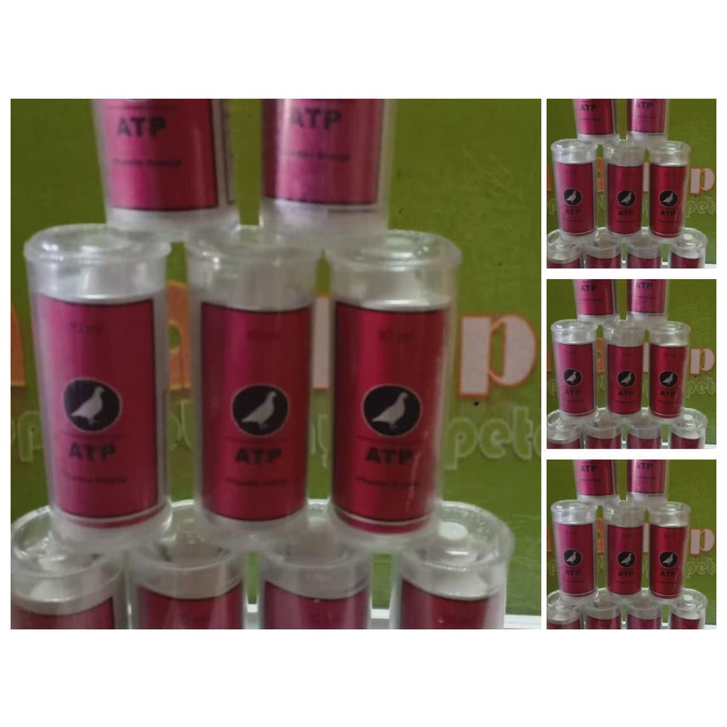 vitarest atp burung merpati dara vitamin obat doping tenaga stamina