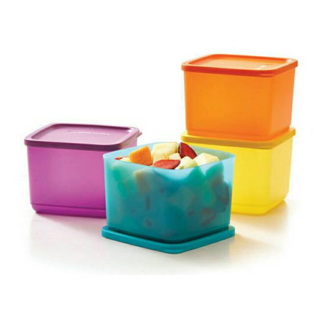 Medium summer fresh tupperware (4pcs)