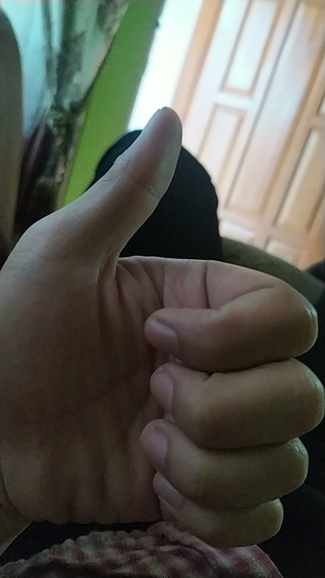 Botol Gepeng Ln 250ml