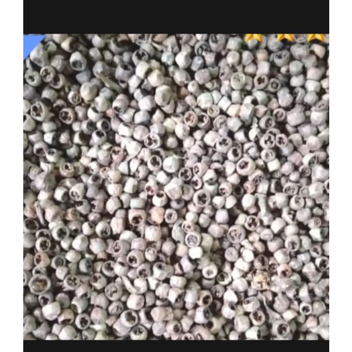 

Merica/ Lada Bolong 50 gr