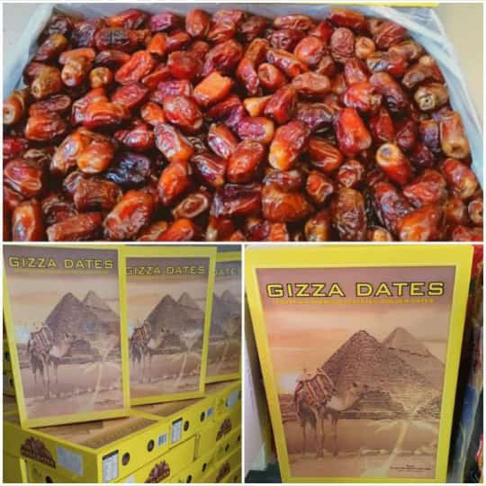 

Kurma Terbaru - Kurma Mesir Madu Gizza Dates 10Kg/Kurma Mesir 10Kg
