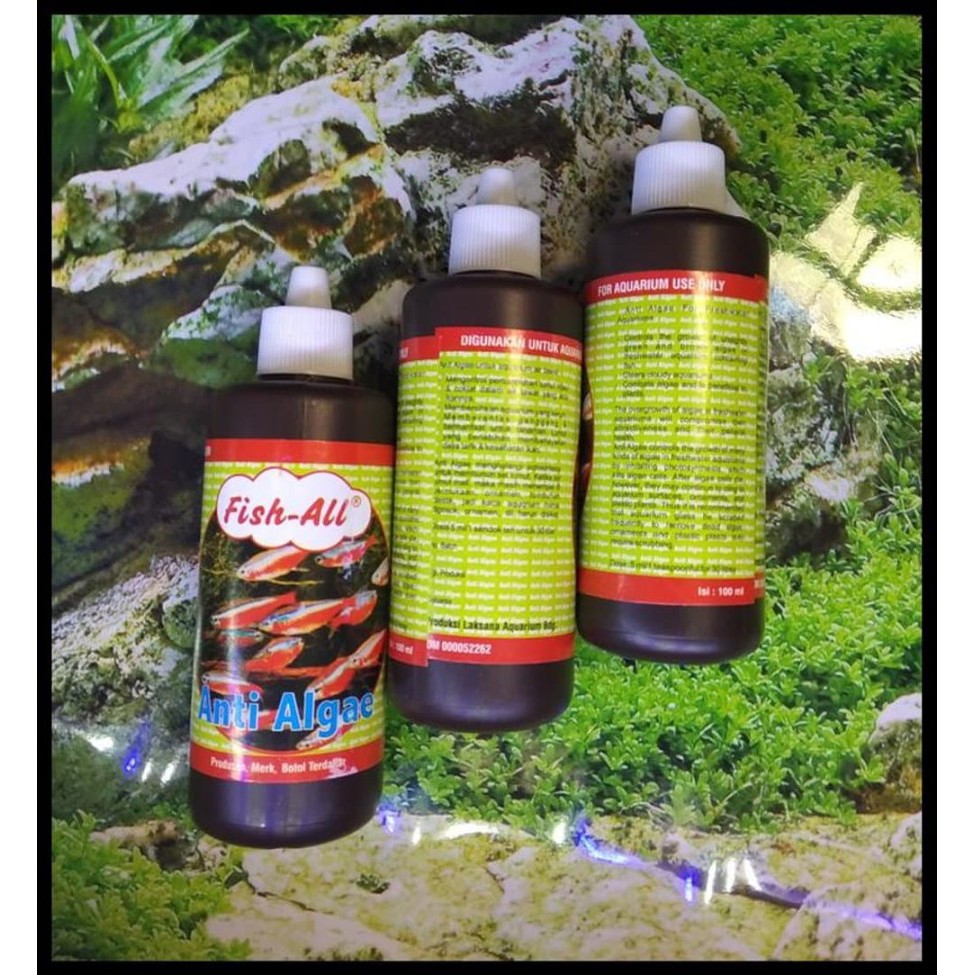 Obat Anti Algae Penghilang Lumut Fish All