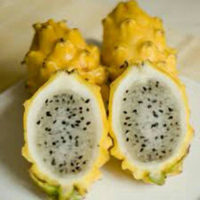 10 biji buah naga kuning import